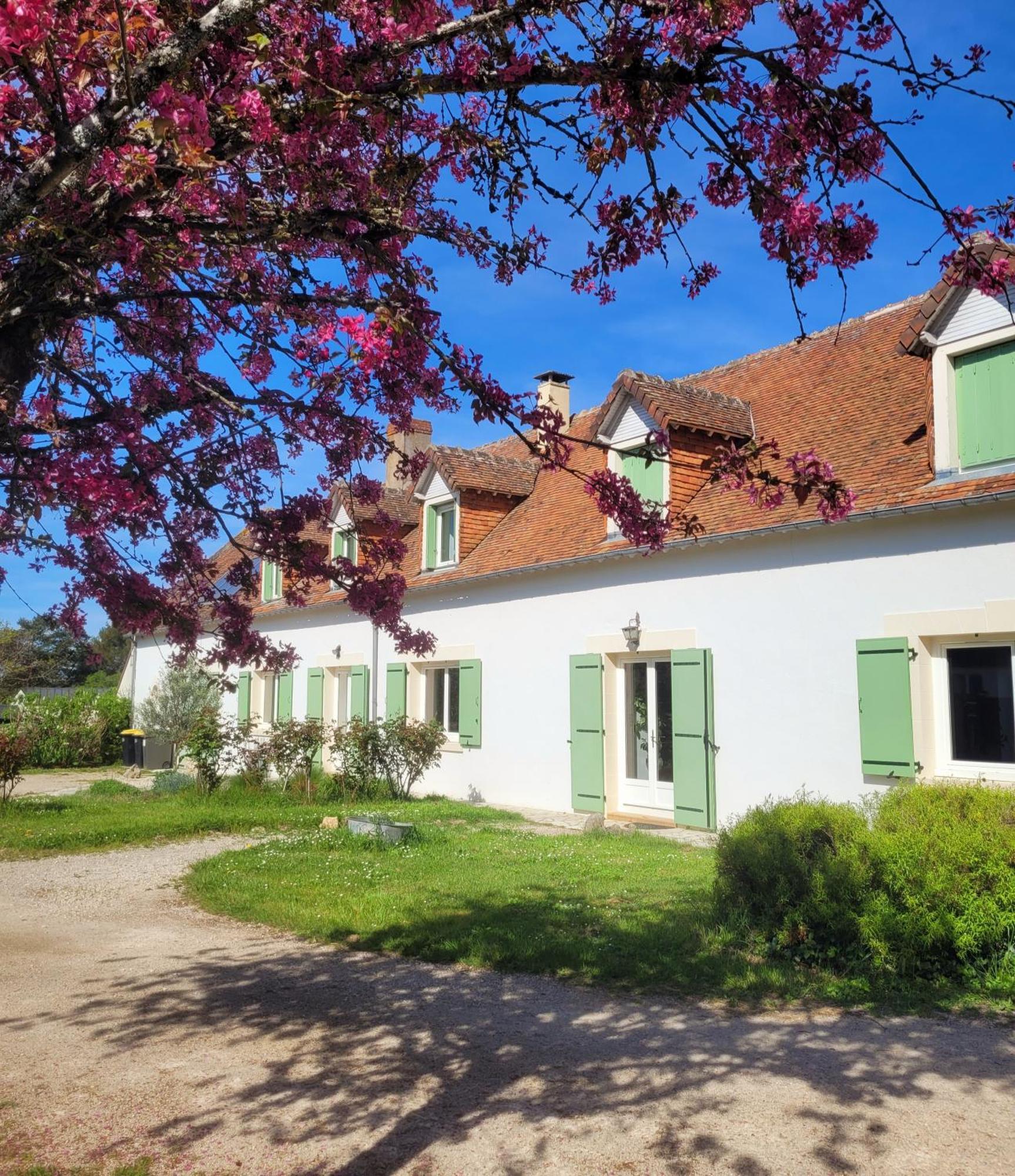 L Amalia Au Coeur Des Chateaux De La Loire Et Du Zoo De Beauval Sambin Bagian luar foto